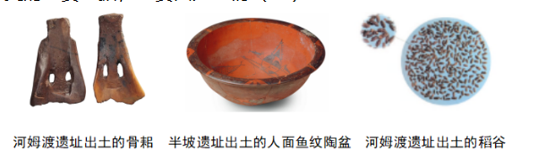 半坡遗址的彩陶、河姆渡遗址的骨耜